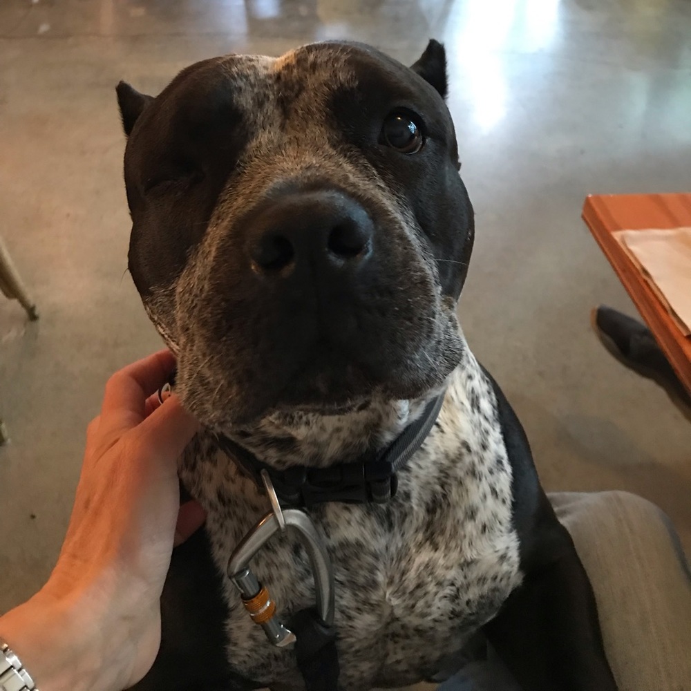 Meet your Posher, Allison